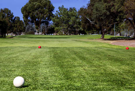 Mission Bay Golf Resort - photo 4