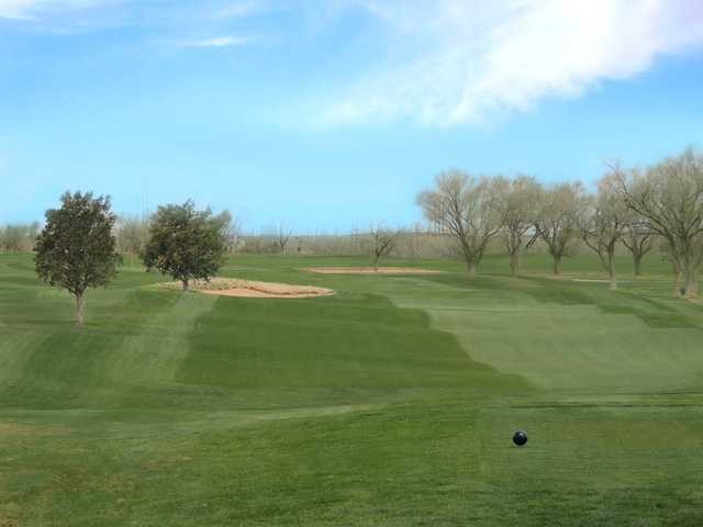 Ross Rogers Municipal Golf Course - photo 4