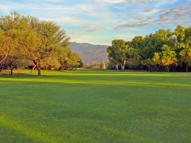 Forty Niner Country Club - photo 5
