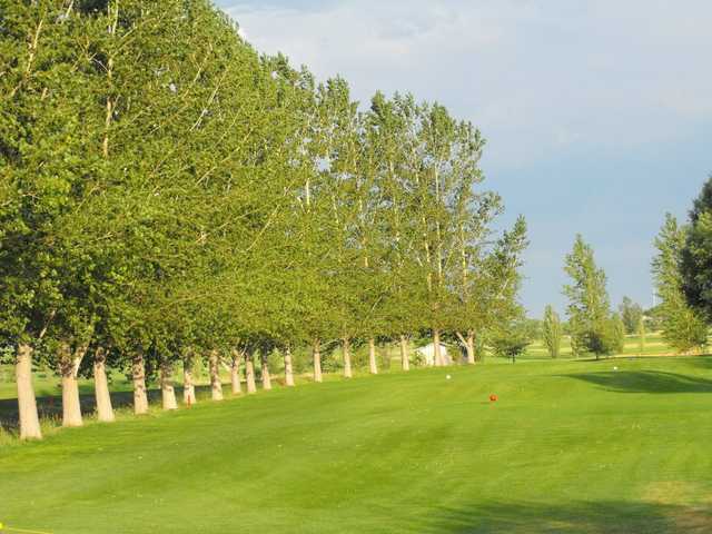 93 Golf Ranch - photo 3
