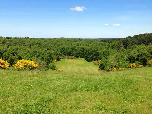 Caddy Shack Golf Centre - photo 4