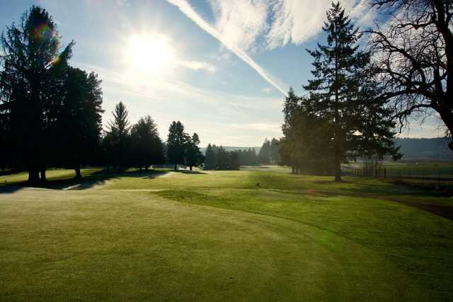 Forest Hills Golf Course - photo 4