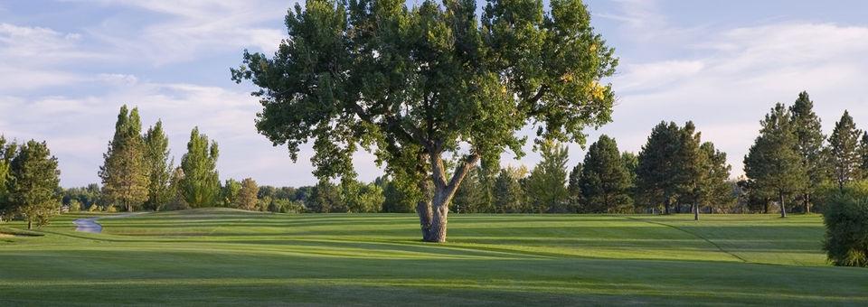Hyland Hills Golf - Blue Course - photo 4