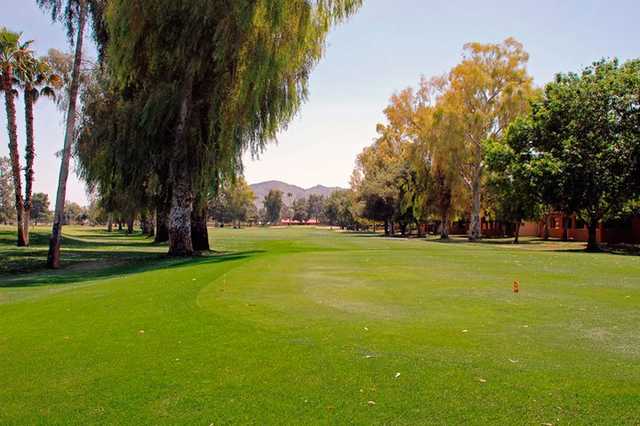 Orange Tree Golf Club - photo 6