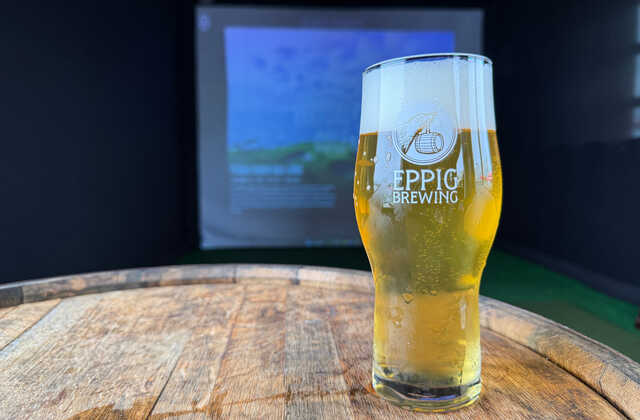 Trackman SIM at Eppig Brewing Point Loma - photo 7