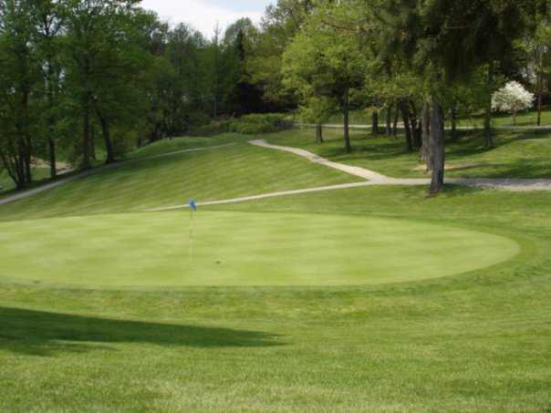Mount Odin Park Golf Course - photo 3