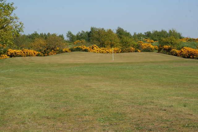 Caddy Shack Golf Centre