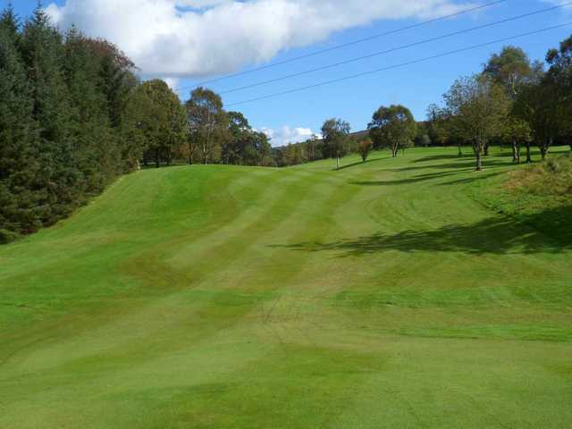 Newtownstewart Golf Club - photo 2