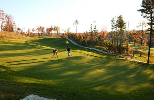 Spring Meadows Golf Club - photo 4