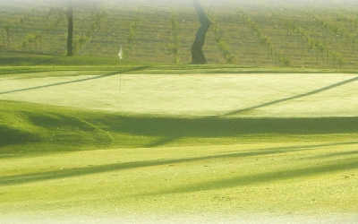 Madera Golf & Country Club - photo 2
