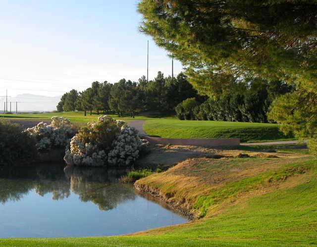 Peoria Pines Golf Course - photo 2