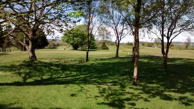 Lochgelly Golf Club - photo 3