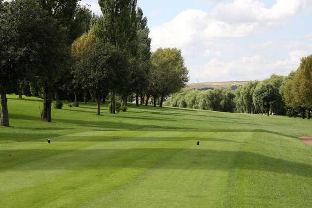 Phoenix Golf Club - photo 2