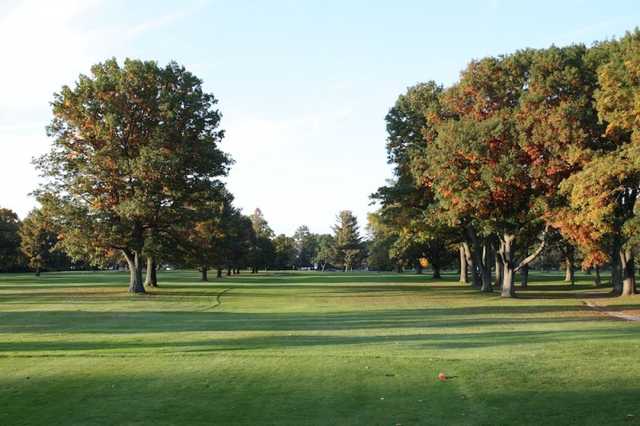 Cadillac Country Club - photo 5