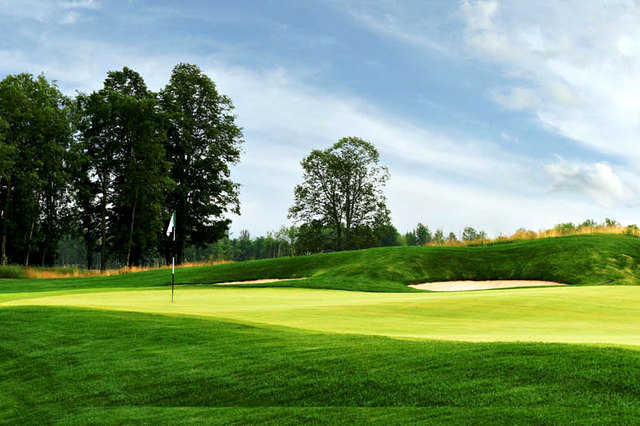Sweetgrass - photo 3