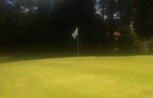 Hillandale Golf Course - photo 2