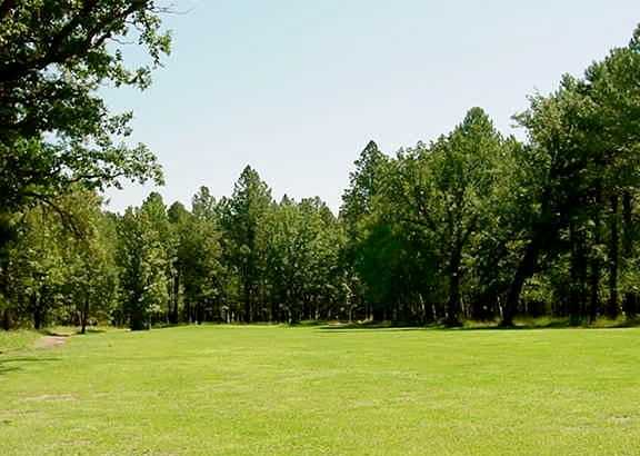 Alpine Country Club - photo 4