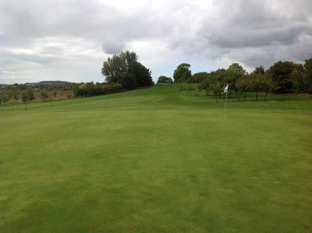 Henley Golf & Country Club - photo 4
