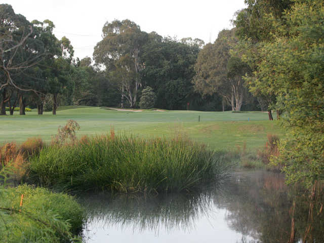 Yarra Valley Country Club - photo 7