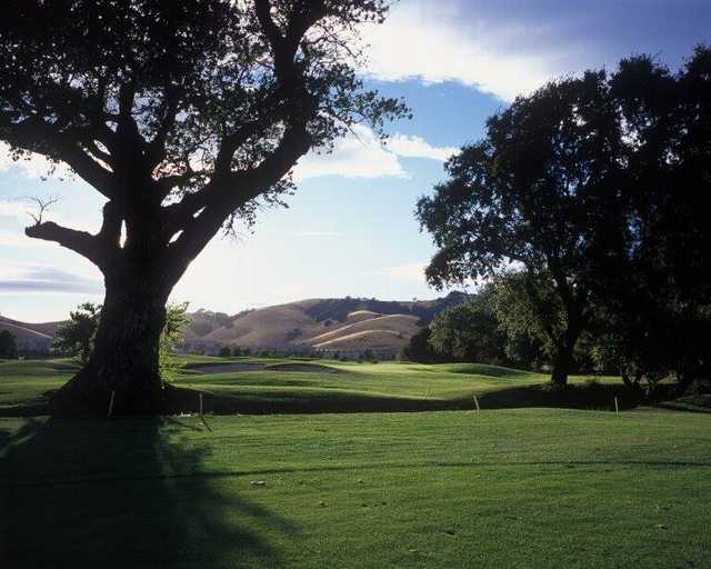 Paradise Valley Golf Course - photo 2
