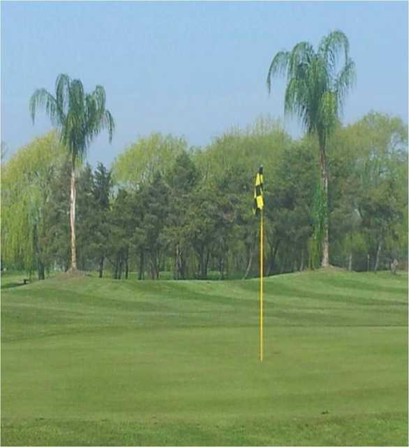 The Greens at Brock - photo 5