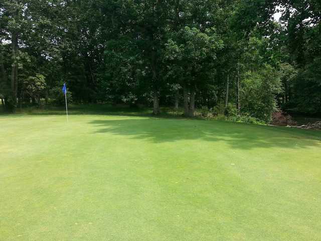 Freeway Golf Course - photo 2