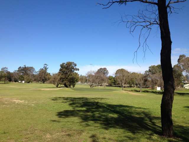 Singleton Golf Club - photo 5