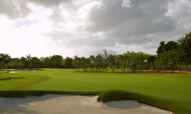 Pine Tree Golf Club
