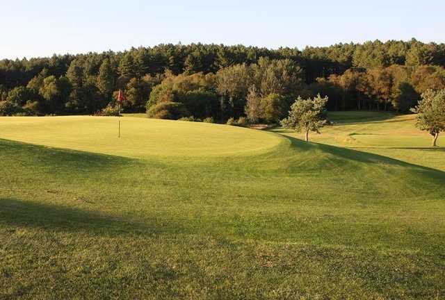 Wareham Golf Club - photo 7