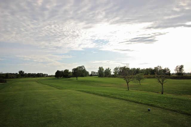 Country Drive Golf Course - photo 4