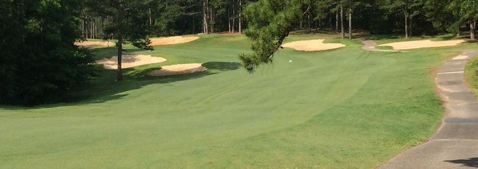 Mountain Ranch Golf Club - photo 2