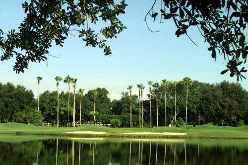 Orange Tree Golf Club - Orlando - photo 4