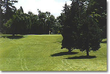 Rose City Golf Course - photo 5