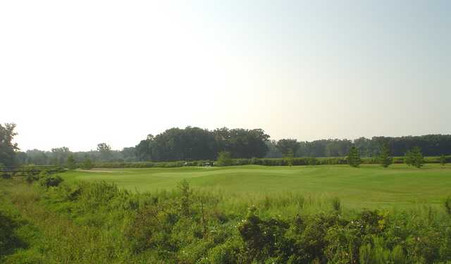 White Pines - photo 2