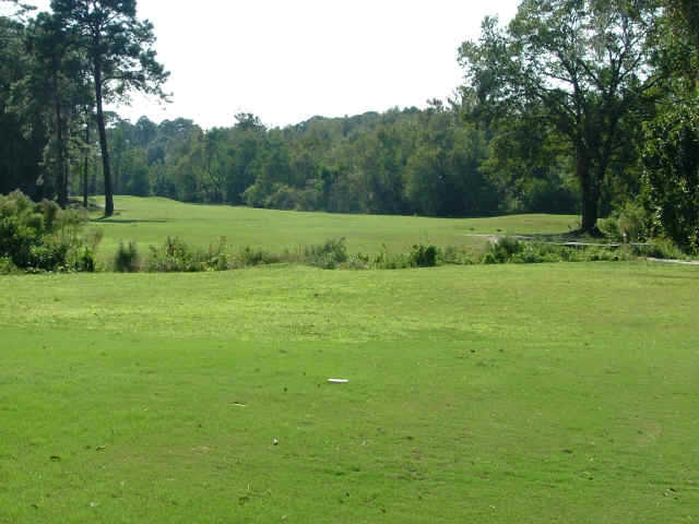 Blue Cypress GC-Jacksonville's Premier 9 Hole Facility - photo 2