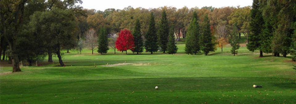 Black Oak Golf Course - photo 4