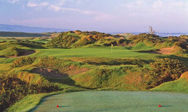 Bandon Dunes Golf Resort - Pacific Dunes Course - photo 4