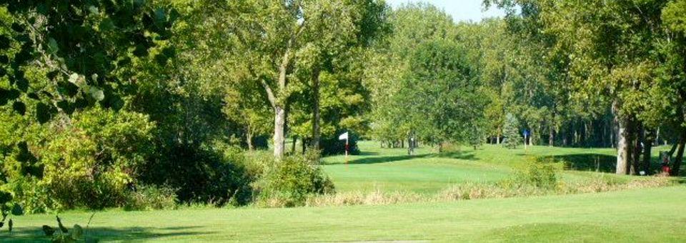 Bliss Creek Golf Club - photo 3