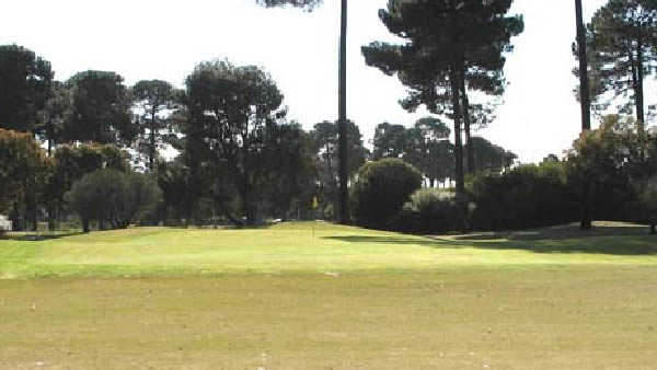Collier Park Golf Club - photo 6