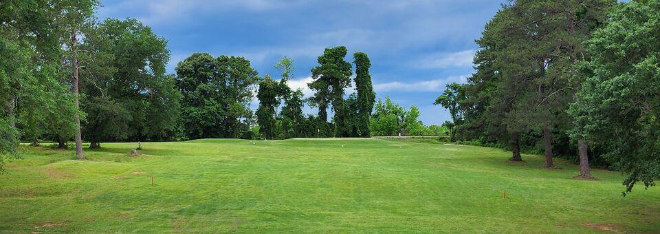 Whitmire Golf Club - photo 3