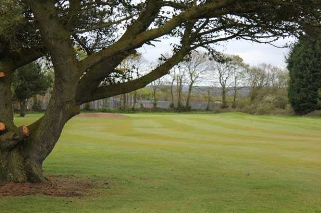 Haverfordwest Golf Club - photo 5