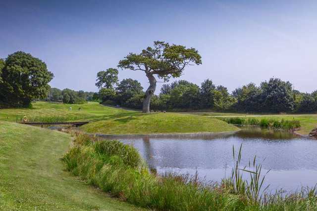 Farrington Park Golf Club - photo 6