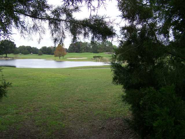 Royal Oaks - photo 3