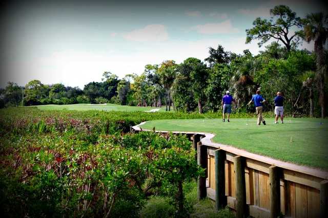 Pelican's Nest Golf Club - photo 2