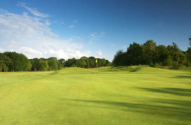 Croham Hurst Golf Club - photo 3