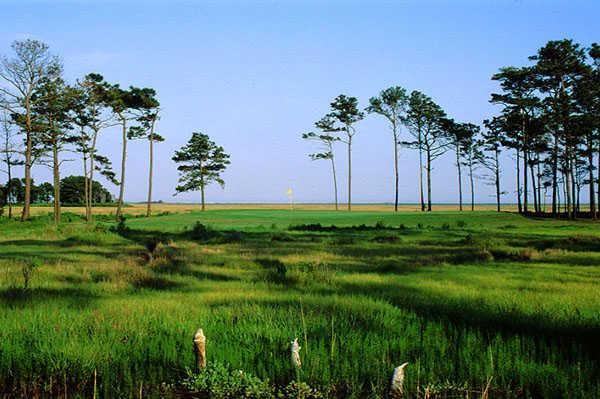 Eagle's Landing Golf Course - photo 4