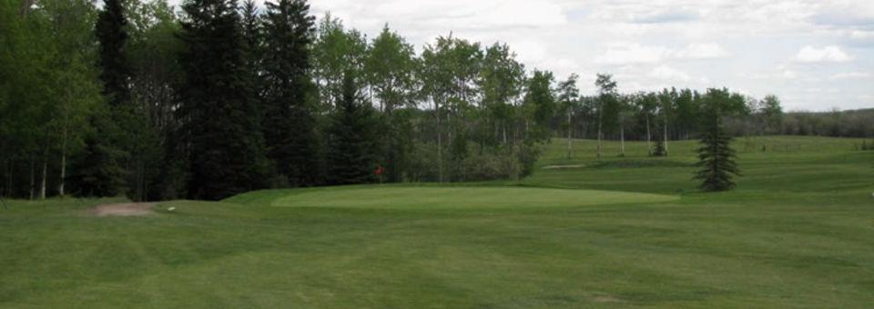 Fort St. John Links Golf Course - photo 4