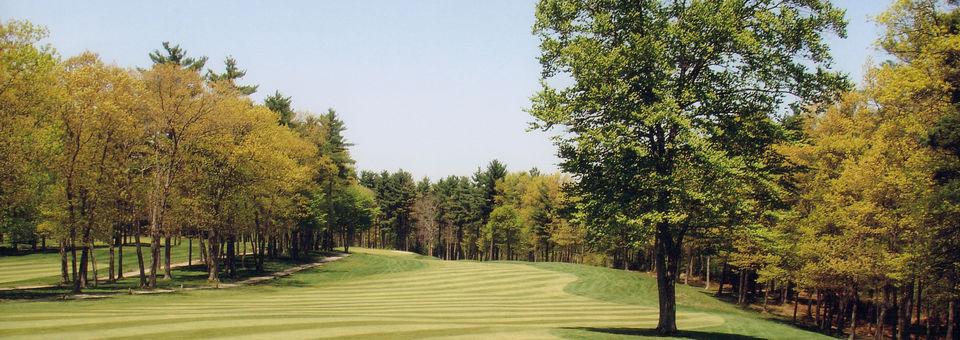 Maplegate Country Club - photo 4