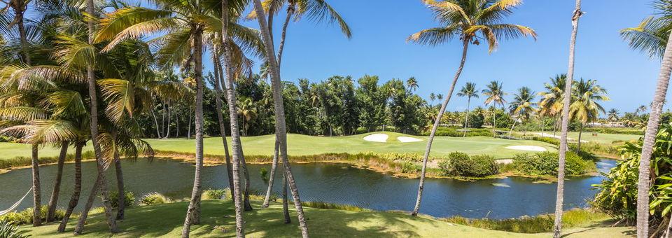 Bahia Beach Resort & Golf Club - photo 6