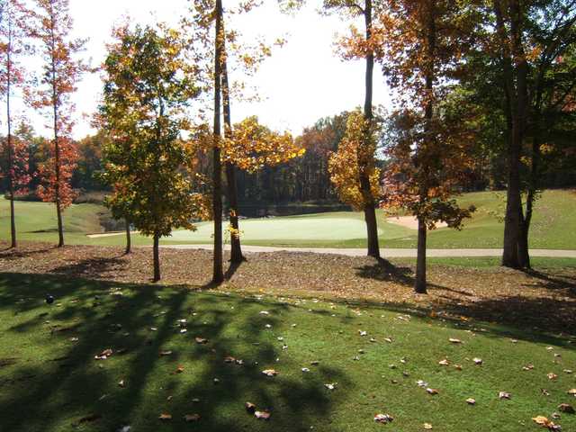 St. Andrews Golf & Country Club - photo 3